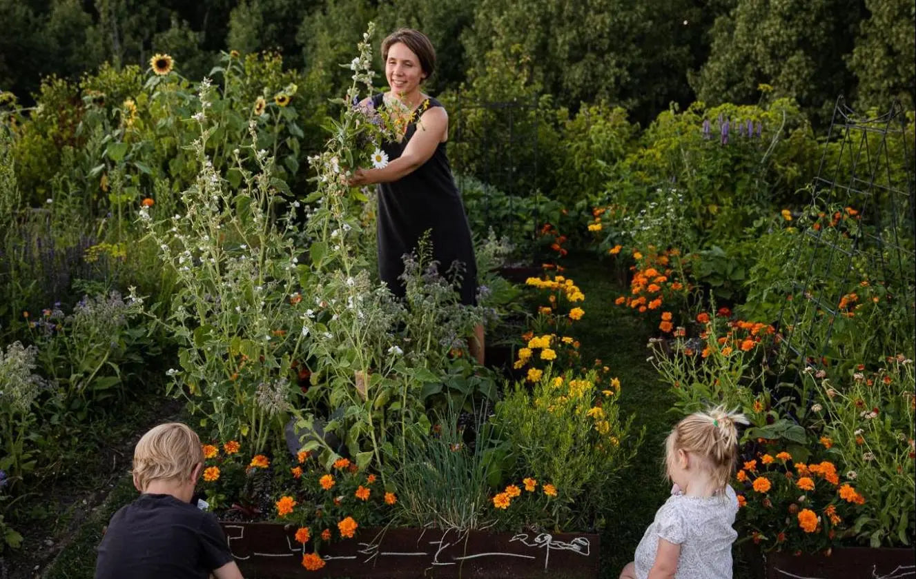 5 Gardening Tips for Beginners with Organic Gardener Megan Gilger