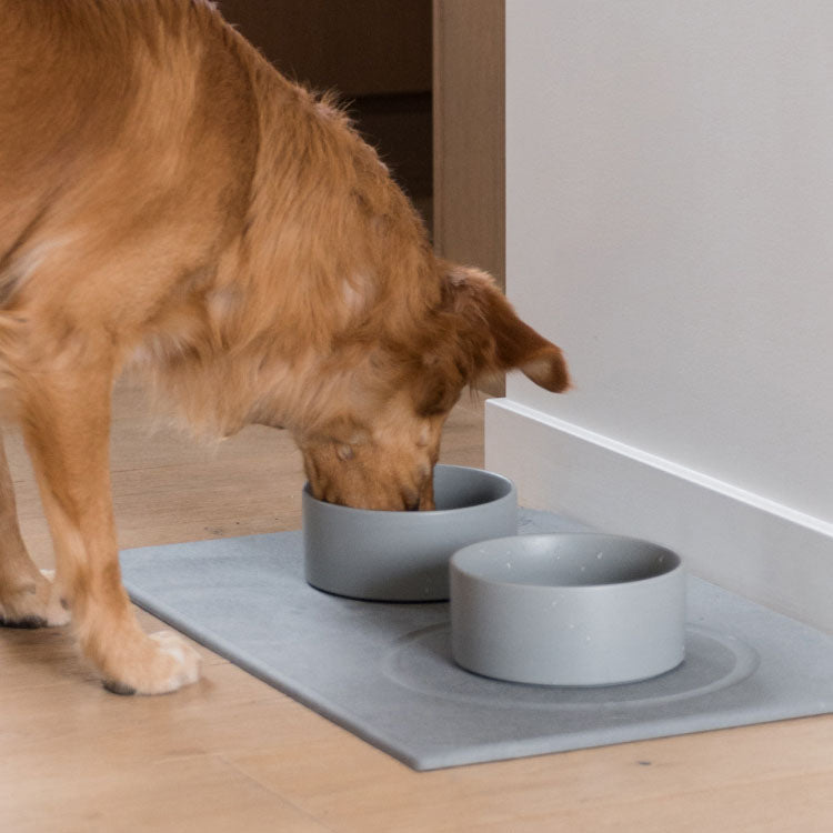 large dog drinking from ceramic bowls on top of quick drying stone mat
