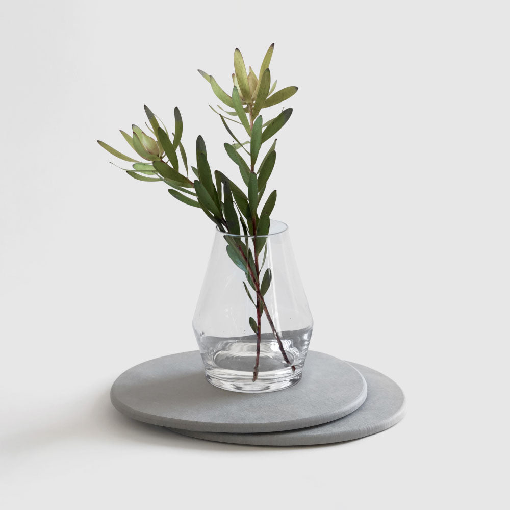 Two large Stone Plant Saucer with vase and cuttings. 