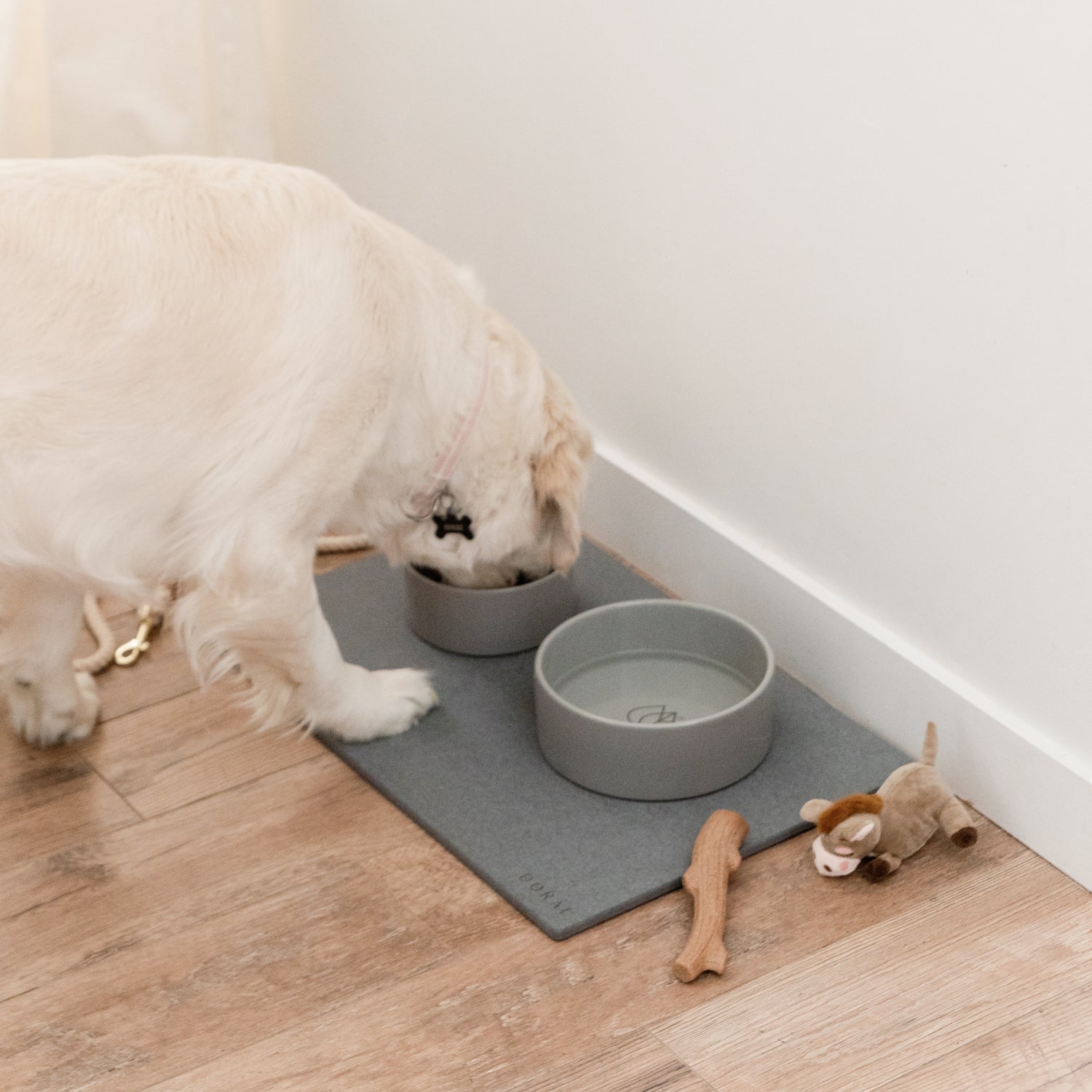 large dog eating from dog feeding station - Dorai Home