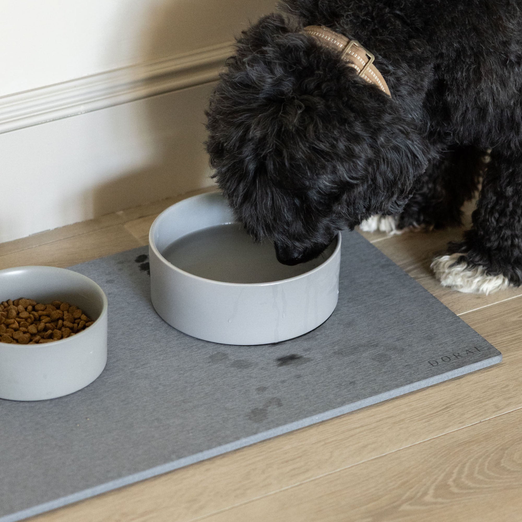 Dog drinking from Dog Food and Water Stone Base, but drips are quickly absorbed. 