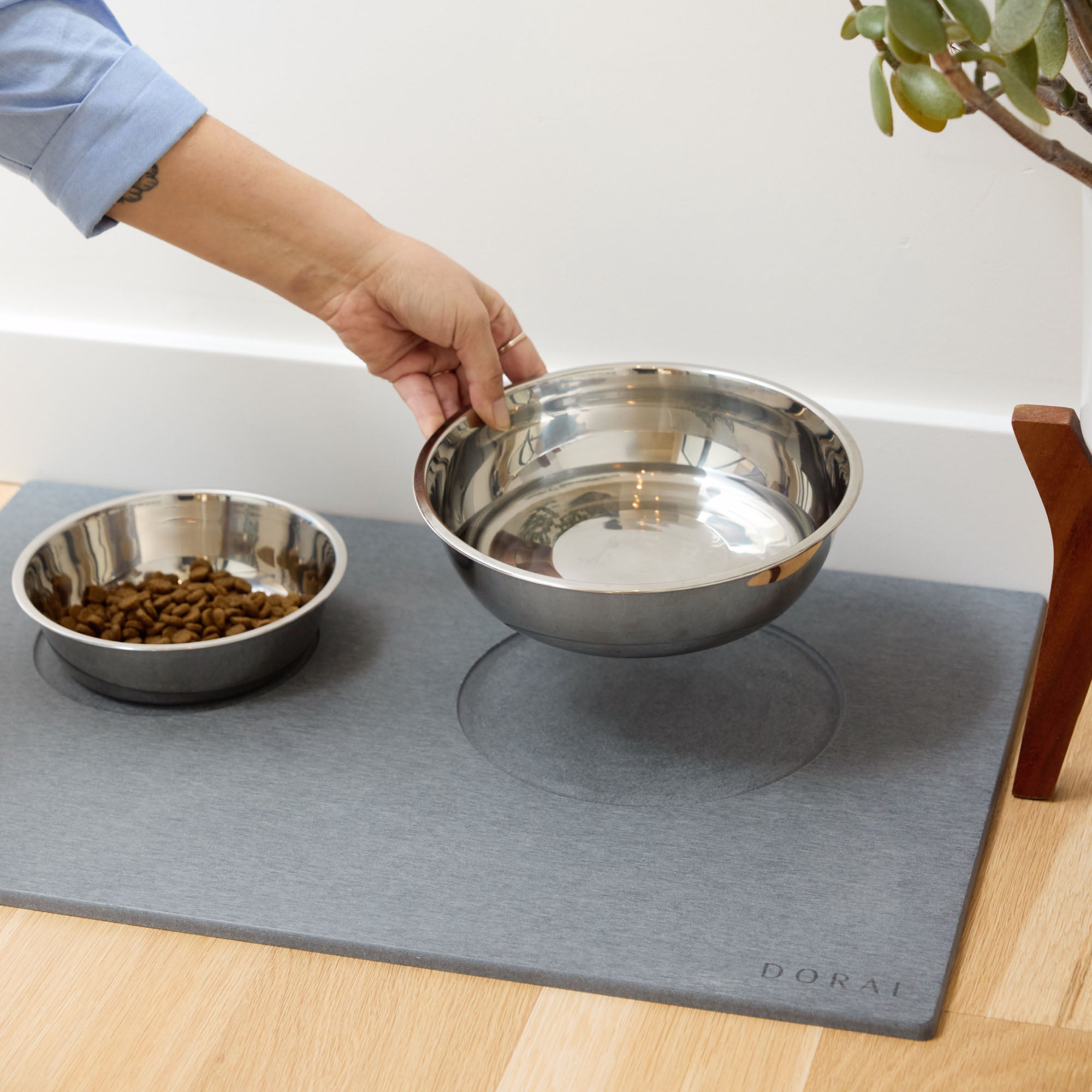Dog Food and Water Stone Base with water that won't drip on floors. 