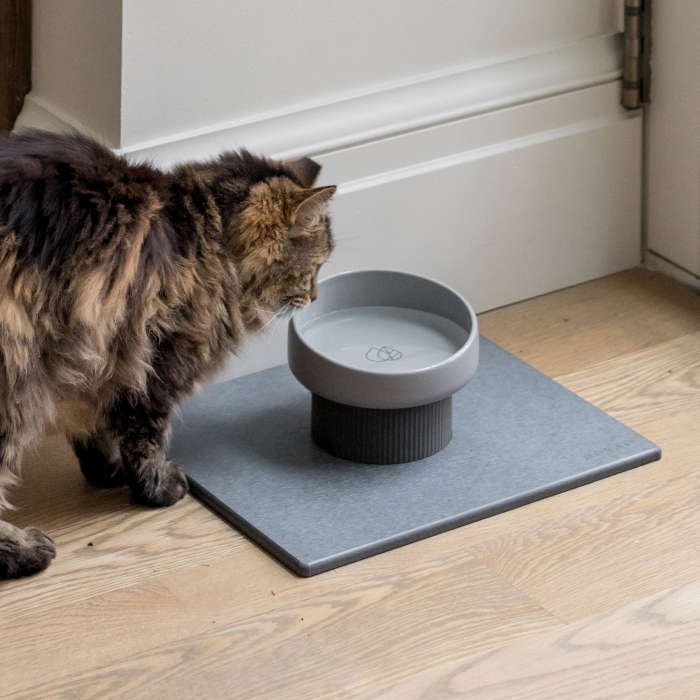 cat about to drink from elevated cat bowl with stone base - Dorai Home