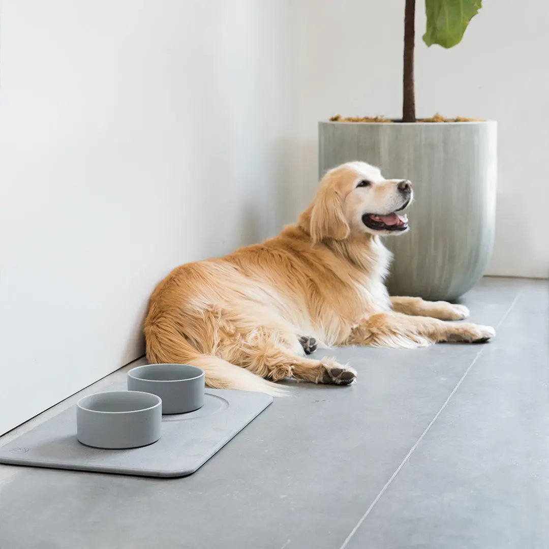 Original Dog Bowls (PARTS)