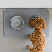 dog eating from ceramic pet bowl on top of diatomaceous earth base